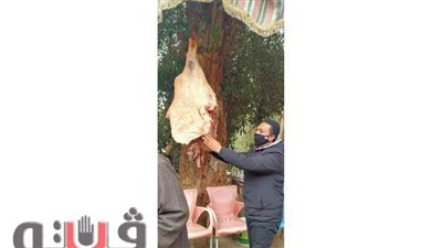 ضبط 1265 كيلو جرام لحوم مذبوحة خارج السلخانة في الدقهلية