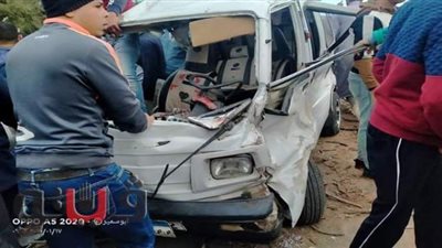 مصرع سيدة وإصابة آخرين إثر سقوط شجرة على ميكروباص بطنطا | صور