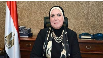 أهم القرارات الحكومية بالعدد 13 في الجريدة الرسمية اليوم