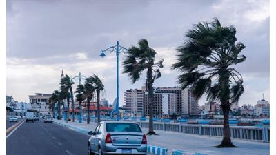 رياح شديدة وارتفاع للأمواج.. طقس متقلب على مطروح | فيديو وصور