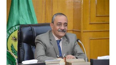 محافظ الإسماعيلية: عقوبة مناسبة ضد رئيس حي 