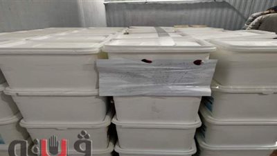 ضبط ٣ طن مواد غذائية فاسدة في حملات تفتيشية بالغربية| صور