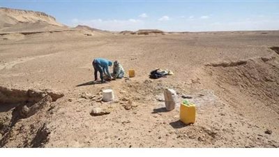اكتشاف حفريات بالصحراء الغربية يرجع تاريخها لـ 70 مليون عام