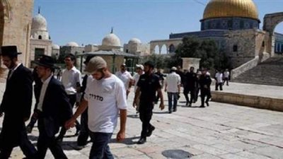 لحظة اعتقال قوات الاحتلال الإسرائيلي لحارس المسجد الأقصى.. فيديو