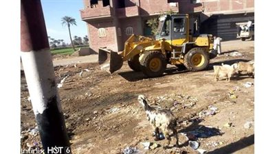 حملة نظافة مكبرة بقرية البرشا بملوي في المنيا