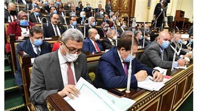 وكيل مجلس النواب: الاستثمار المفتاح الحقيقي للتنمية