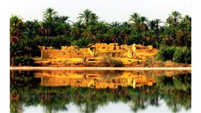 تطوير منظومة الري والصرف بواحة سيوة وحلول جذرية لمشكلة زيادة الملوحة