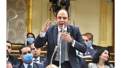 تعليق من والدة المخرج محمد سامي ضد النائب رياض عبد الستار بعد هجومه على الفنانين