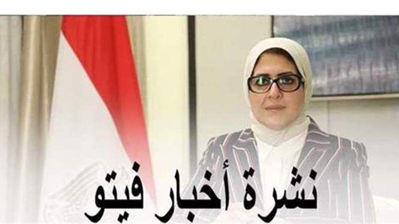 نشرة أخبار فيتو