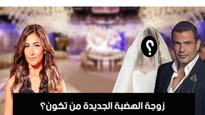 سبب الانفصال.. ماذا اكتشفت دينا الشربيني في عمرو دياب؟ | فيديو