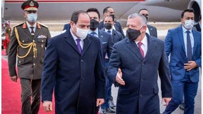 علي العايد: قمة مصرية عراقية أردنية قريبا