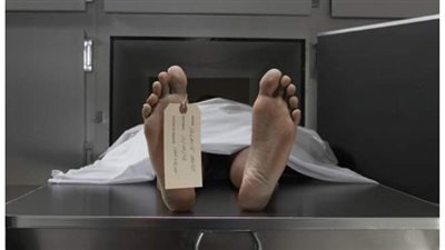 بقرص فياجرا.. مصرع حارس شقه تحت التشطيب في المنصورة