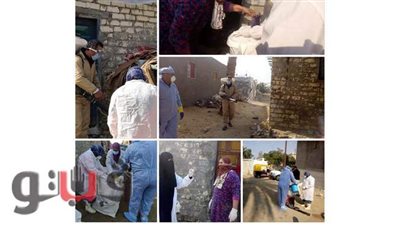 مدير عام الوقاية بالإسماعيلية يُبرز جهود «الطب البيطري» في مواجهة إنفلونزا الطيور