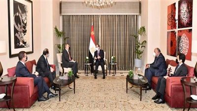 توافق مصري أردني على تكثيف التنسيق وتبادل الخبرات والمعلومات لمكافحة الإرهاب