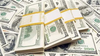 سعر الدولار اليوم الثلاثاء 19 - 1- 2021 في مصر