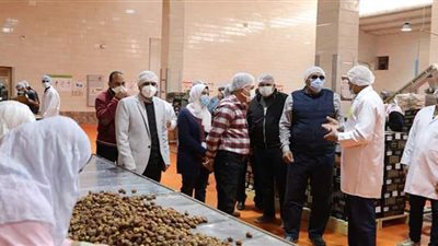 محافظ الوادي الجديد يكلف بزيادة الطاقة الإنتاجية لمجمع التمور