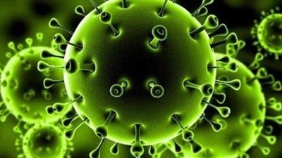 سلبية 9 عينات لأطفال مشتبه بإصابتهم بكورونا في القليوبية