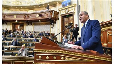 نائب يسأل المصيلحي: 