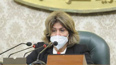 فريدة الشوباشي: رجعنا افريقيا مرة أخرى بفضل جهود عبد الناصر