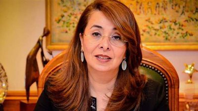 غادة والي: 80 مليار دولار خرجت من أفريقيا بشكل غير مشروع العام الماضي