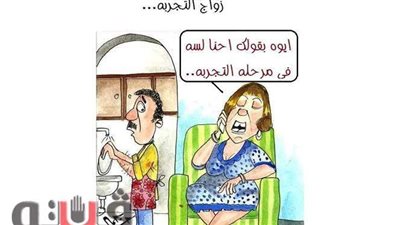 زواج التجربة في كاريكاتير فيتو