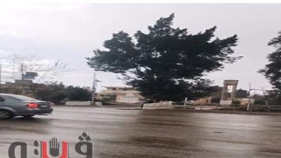 طقس سيئ يضرب الغربية ومياه الأمطار تغرق الشوارع | صور