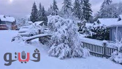 تفسير حلم رؤية الثلج في المنام وعلاقته برخاء المعيشة والحظ الجيد