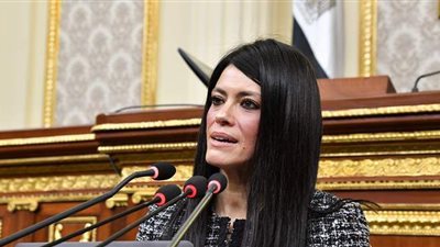 المشاط: 2020 شهد إقبالا متزايدًا على التمويلات التنموية