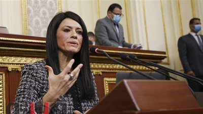 التعاون الدولي: 3 مليارات دولار لتنفيذ برنامج تنمية سيناء