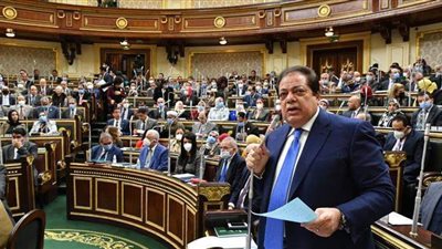 أبو العينين يطالب بمراجعة الاتفاقيات الدولية والتوجه لأفريقيا