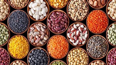 أسعار البقوليات اليوم الأربعاء 2021/1/20 في مصر