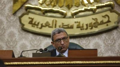 إحالة بيان وزيرة التعاون الدولي للجنة بمجلس النواب