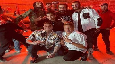 الفيشاوي يستعين بـ