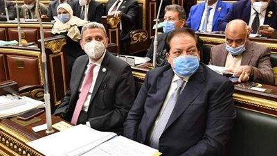 وكيل البرلمان يطالب بوضع استراتيجية للاستثمار الرياضي