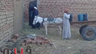 أهالي عزبة حاجر المريس.. يحلمون بكوب ماء نظيف | صور