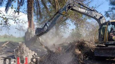 إزالة 7 تعديات على أملاك الدولة بديرب نجم في الشرقية