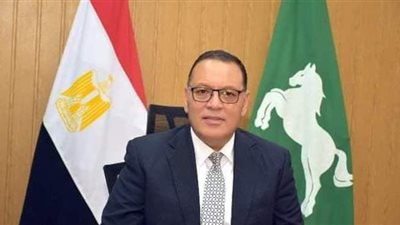 على مسؤولية المحافظ.. الشرقية تصادر 9 آلاف توك توك