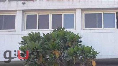 معاقبة 5 مسئولين بمحافظة دمياط لإهدارهم المال العام.. وبراءة آخرين