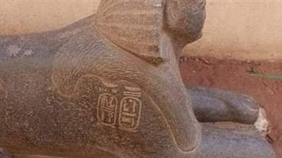 نشرة الحوادث.. وأبرزها: تاجر دواجن يقطع زميله بالساطور.. واعترافات صادمة لربة منزل وزوجها المتهمين بعرض طفلتهما للبيع على فيس بوك