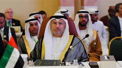 قرقاش: نفتح صفحة جديدة من أجل خليج عربي مستقر ومزدهر