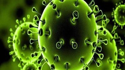 نشرة أخبار فيتو وأبرزها: الصحة العالمية تحذر من سلالة جديدة لكورونا.. تكليفات رئاسية جديدة للحكومة.. وهذه المحافظات تتعرض للصقيع