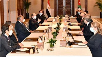 القضية الفلسطينية ومكافحة كورونا ووحدة الصف العربي تتصدر رسائل السيسي الخارجية | فيديو