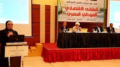 نيفين جامع تؤكد أهمية القطاع الخاص المصري والسوداني في الشراكات الصناعية