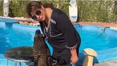 هالة صدقي مع كلب البحر في رحلتها بشرم الشيخ