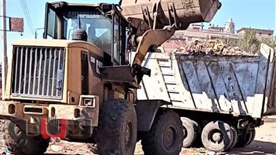 حملات نظافة مستمرة بزفتى والسنطة وبسيون وكفر الزيات بالغربية | صور