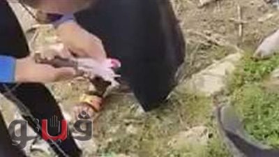 غواص يعثر على سحر أسود داخل كيس في مكان حادث غرق شاب الزوامل | فيديو