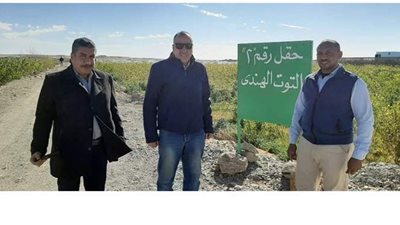 الزراعة والوادى الجديد تفعلان مبادرة زراعة التوت و انتاج الحرير الطبيعى