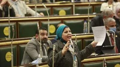 مايسة عطوة لوزير قطاع الأعمال: 