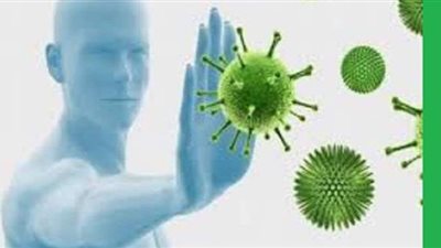 لكبار السن.. 10 أطعمة تعزز عمل الجهاز المناعي للحماية من كورونا