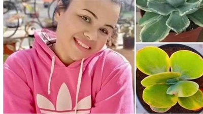 العناية بالنباتات تساعد 